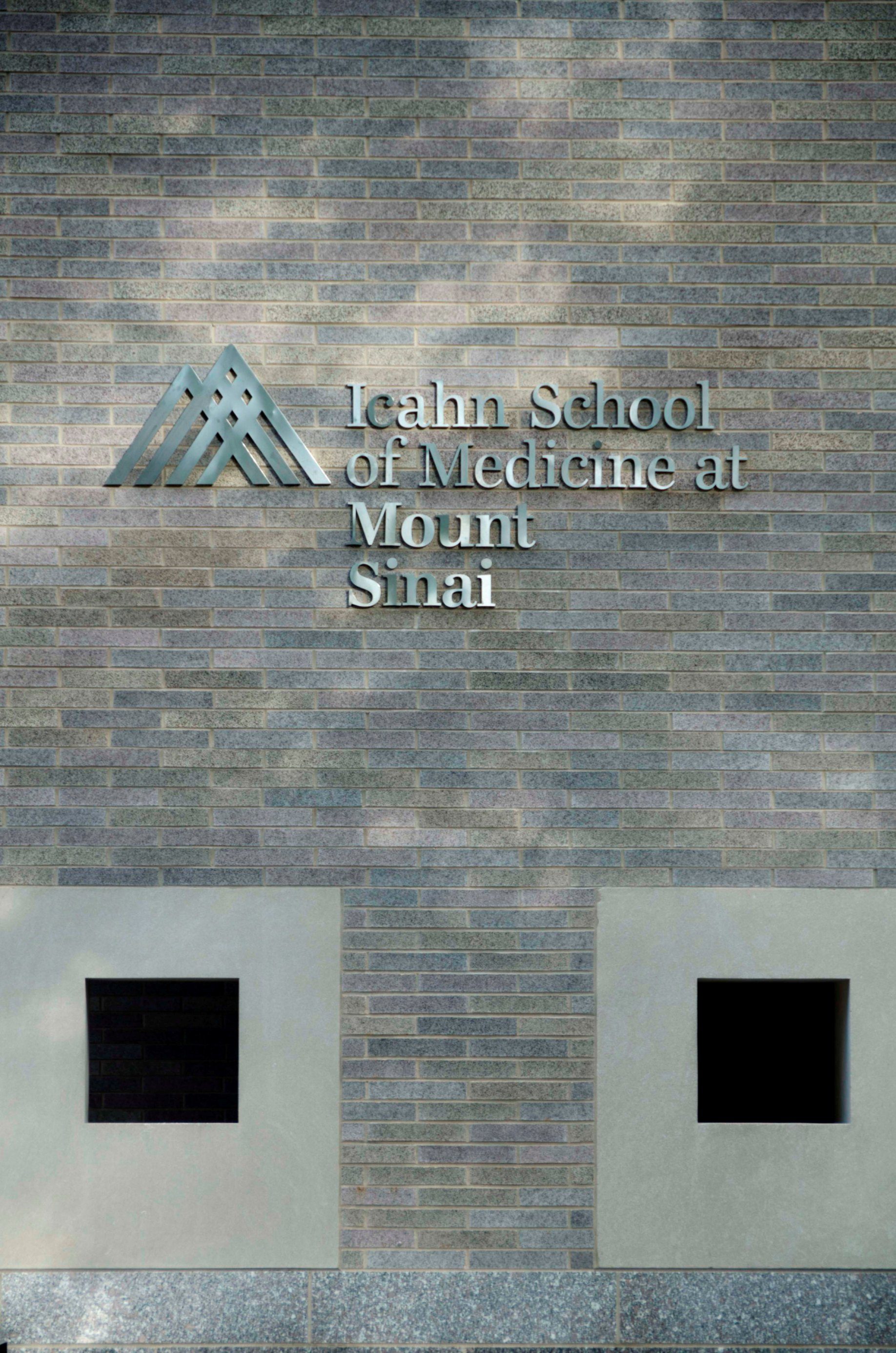 Mount Sinai Hospital, New York (3).jpg
